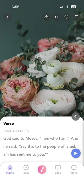 Verse of the Day shown over soft pink roses in the Daily Devotional For Women App